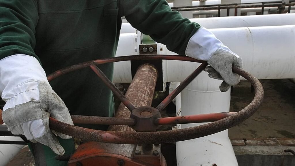 Oil via Druzhba pipe to Hungary could resume next week, Magyar says