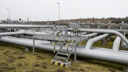Russian oil flow to Slovakia via Druzhba pipeline resumes