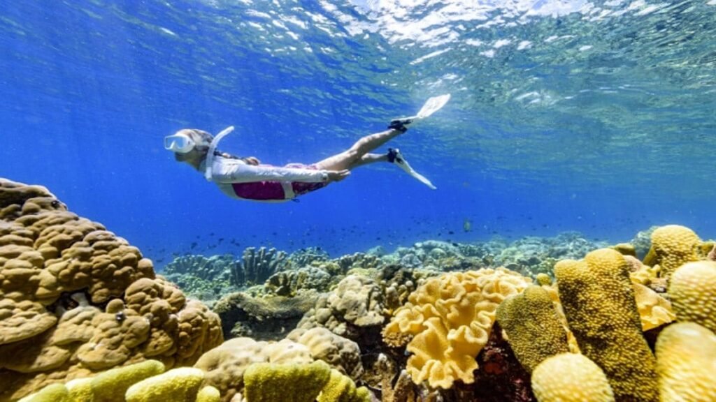 Solomon Islands tourism rebounds: What to see in the island nation Solomon Islands tourism rebounds: What to see in the island nation