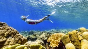 Solomon Islands tourism rebounds: What to see in the island nation Solomon Islands tourism rebounds: What to see in the island nation