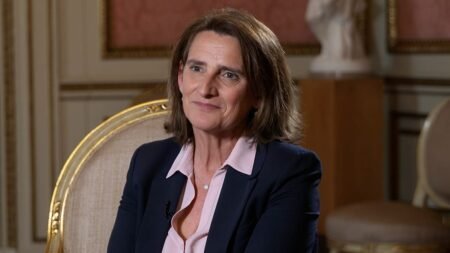 Hungary shows limits of ‘anti-EU narrative,’ Ribera tells Euronews