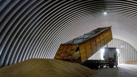 Kyiv vows response as Russia ships stolen grain to multiple countries