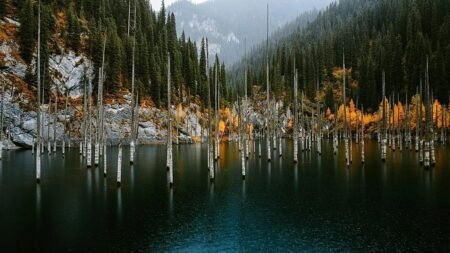 Why Kazakhstan is growing its national parks and green spaces