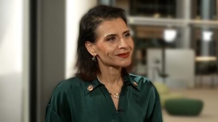 Video. Violence against women ‘has evolved in Europe’, says MEP Al-Sahlani