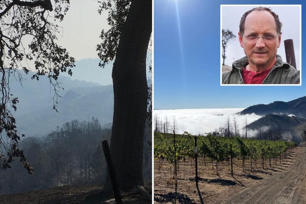 Napa Valley winery destroyed by wildfire is snapped up by new power player