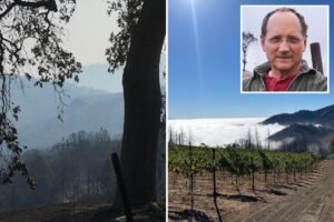 Napa Valley winery destroyed by wildfire is snapped up by new power player