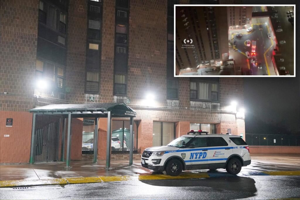 Bronx man, 76, shoots neighbor 55 years his junior to death over long-time beef: cops Bronx man, 76, shoots neighbor 55 years his junior to death over long-time beef: cops