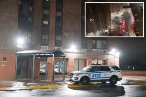 Bronx man, 76, shoots neighbor 55 years his junior to death over long-time beef: cops Bronx man, 76, shoots neighbor 55 years his junior to death over long-time beef: cops