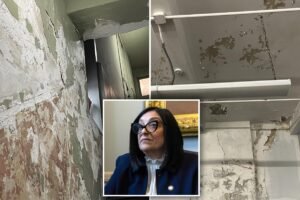 Exclusive | Pols demand Mamdani spare FDNY from budget cuts, invest in repairing dilapidated firehouses Exclusive | Pols demand Mamdani spare FDNY from budget cuts, invest in repairing dilapidated firehouses