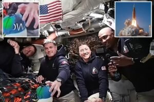 New NASA video spurs hoax Artemis II mission is staged: ‘Pure green screen bulls–t’ New NASA video spurs hoax Artemis II mission is staged: ‘Pure green screen bulls–t’