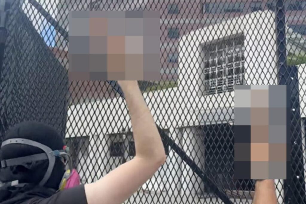 Anti-ICE agitators unleash bizarre X-rated protest in downtown LA