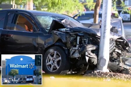 Passenger napping in car is killed when crook jumps in and crashes vehicle: police