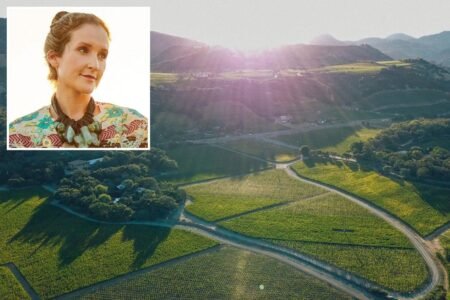 Powerful Napa wine dynasty dies as sprawling vineyard is snapped up by luxury retailer Chanel