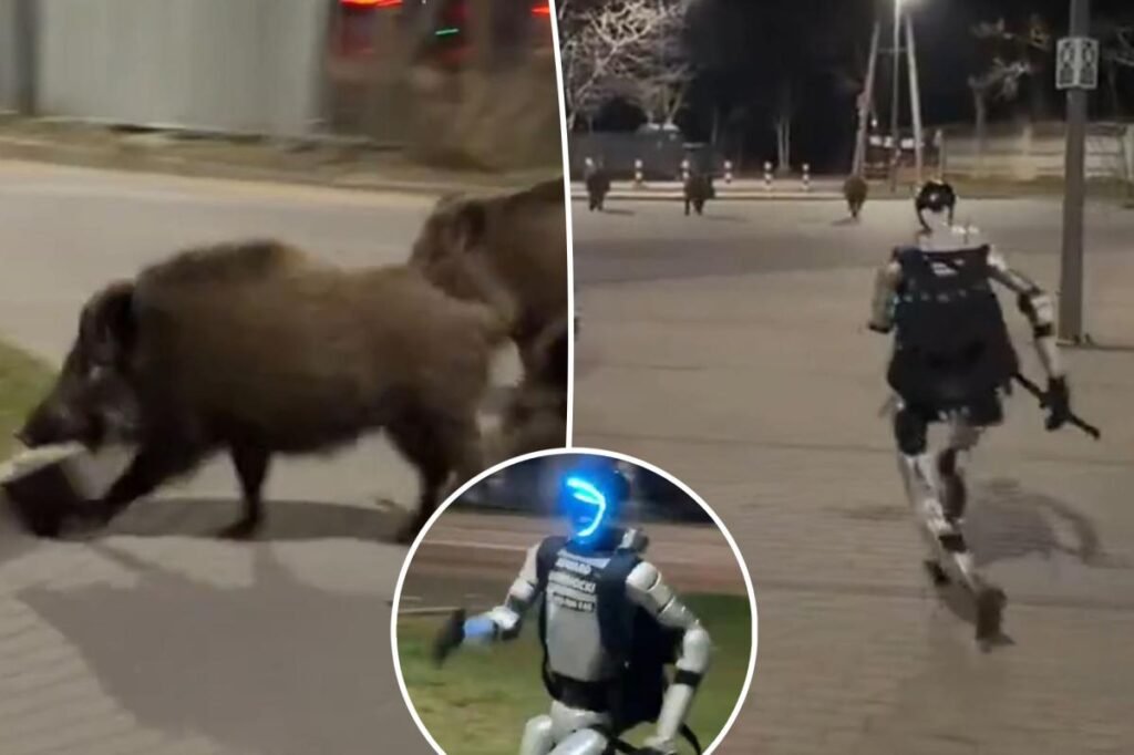 Humanoid robot chases pack of wild boars in bizarre video: ‘The hero we don’t deserve’
