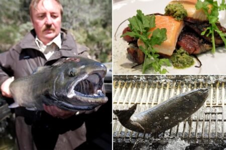 California delicacy unavailable for 3 years will soon be back on the menu