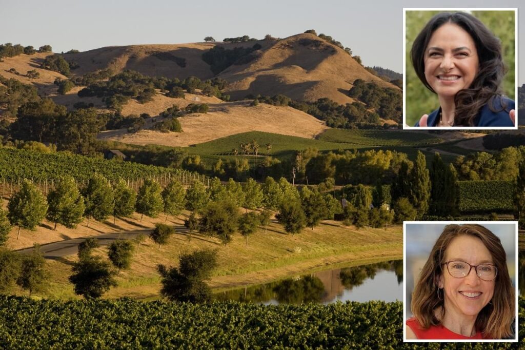 Napa Valley unveils .4M scheme to save decimated Wine Country — how everything will change explained