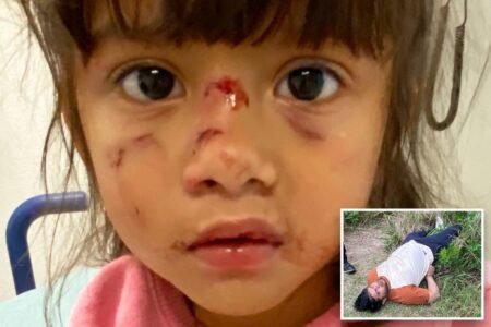 Illegal migrant ‘cannibal’ attacks  mom and daughter : ‘Completely preventable’