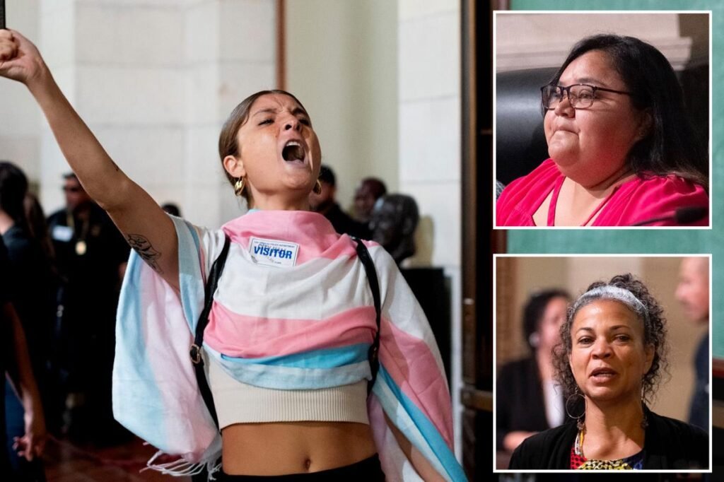 Cop-hating activists handed City Hall stage as angry residents shut out of .9B budget showdown