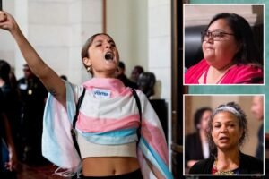 Cop-hating activists handed City Hall stage as angry residents shut out of .9B budget showdown