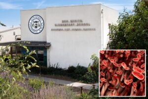 Outbreak of centuries-old bacterial disease plagues Pasadena school