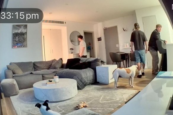 Security camera footage provided by the Dobrin family showing Elbie, in the bottom left-hand corner, the night she went missing. 