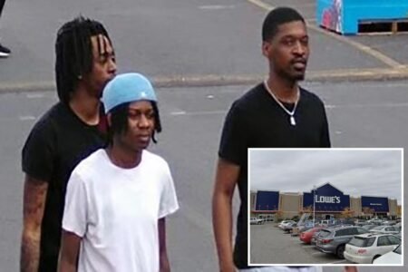 4 goons steal car, mow down 72-year-old using walker in NYC Lowe’s parking lot: cops