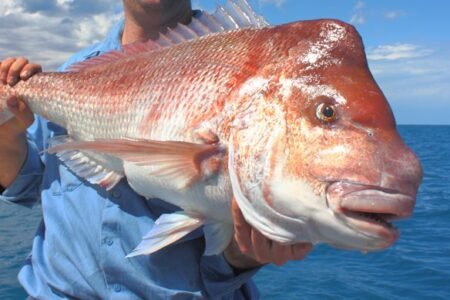 WA’s fishing ban plan political and unscientific, court told