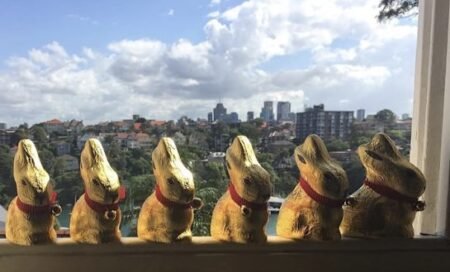 Chocolate prices hit a high