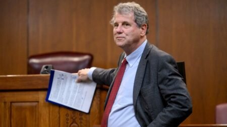 FLASHBACK: Dem senate candidate was critical vote in confirming judge who tied voter ID to ‘White supremacy’