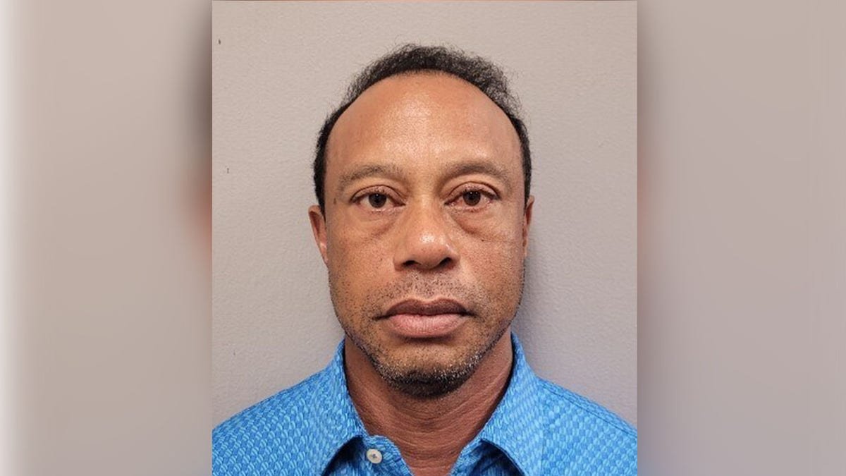 Tiger Woods facing forward in a mugshot photo