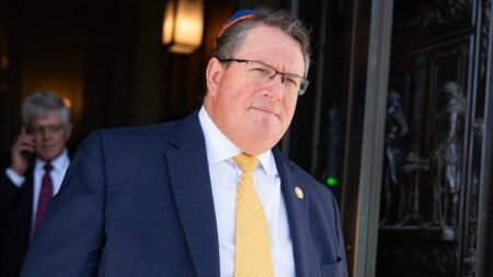 GOP Rep Randy Fine declares that deporting all illegal immigrants is the top way to make the US affordable GOP Rep Randy Fine declares that deporting all illegal immigrants is the top way to make the US affordable