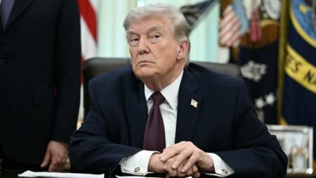 Resurfaced clips from top Democrats echoing Trump on birthright citizenship spark online uproar: ‘Wow’