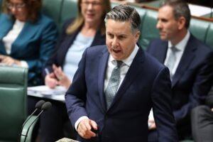 Coalition backs crackdown on NDIS providers as Butler prepares to reveal savings plans Coalition backs crackdown on NDIS providers as Butler prepares to reveal savings plans