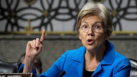Warren says her ‘kind of man’ is left-wing Senate hopeful rocked by Nazi-tattoo, Reddit controversies
