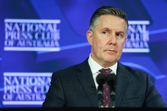 Health Minister Mark Butler at the Press Club on Wednesday.
