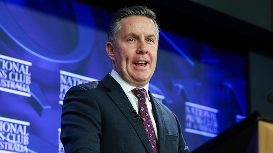 Health Minister Mark Butler at the Press Club on Wednesday.