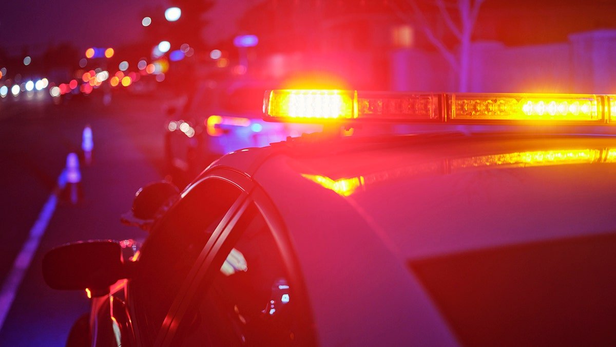 Close-up of flashing red and blue police lights on top of a patrol car at night.