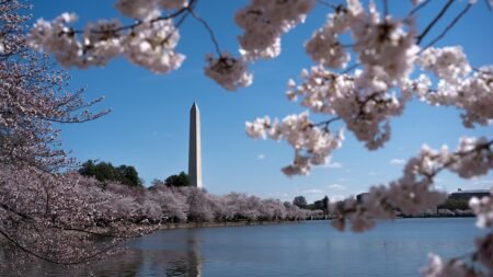 Trump’s DC beautification push wins rare Dem praise as president snaps landmarks back to life