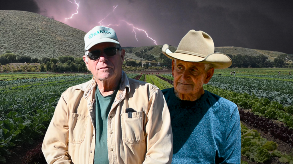 The ,600 lettuce: California growers warn of ‘master plan’ strangling family farms