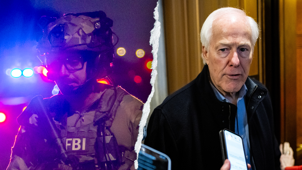 WATCH: Cornyn tears into Dems for holding DHS ‘hostage’ and failing the No. 1 ‘non-negotiable’ for America