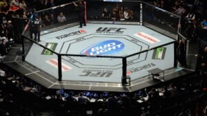 UFC, Bud Light team up to make already highly anticipated summer of fights that much better: ‘A fan delight’