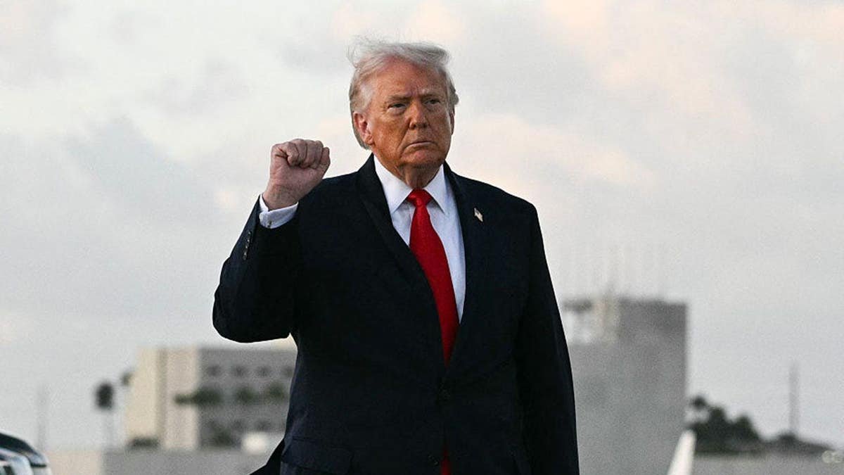 donald trump with his fist in the air