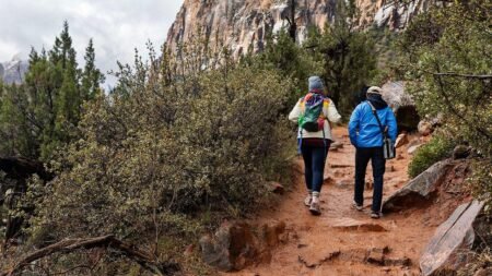2 mystery deaths at Zion National Park prompt urgent questions about visitor safety