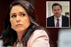 Tulsi Gabbard refers ex-intel community watchdog, whistleblower behind 2019 Trump impeachment to DOJ for criminal prosecution 