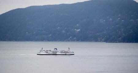 After repairs, B.C. ferry lasts 40 minutes before breaking down again