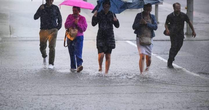 Parts of southern Ontario under rainfall warnings as storm tracks through area Parts of southern Ontario under rainfall warnings as storm tracks through area