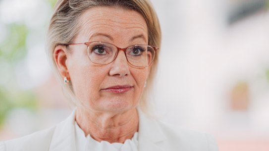 Sussan Ley at a short press conference on Friday.