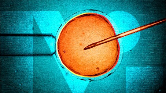 Monash IVF has completed its investigation into two embryo bungles.