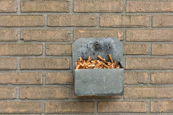 Some support vape bans. Others say demonising vapes reduces the chance smokers will use them to help quit cigarettes. 