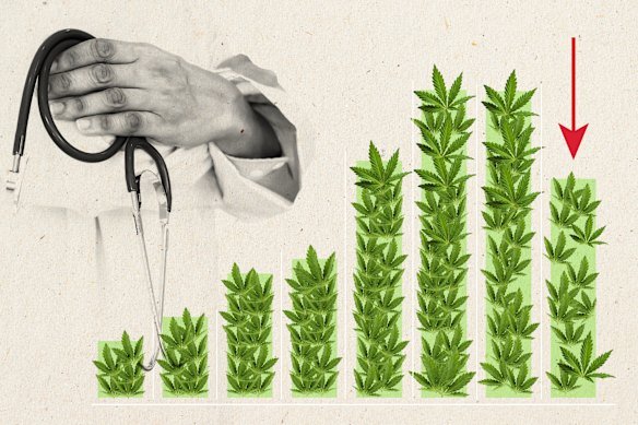 The Penington Institute described a 28.5 per cent fall in medicinal cannabis sales as a “market correction” following a tightening of prescription rules by regulators. 